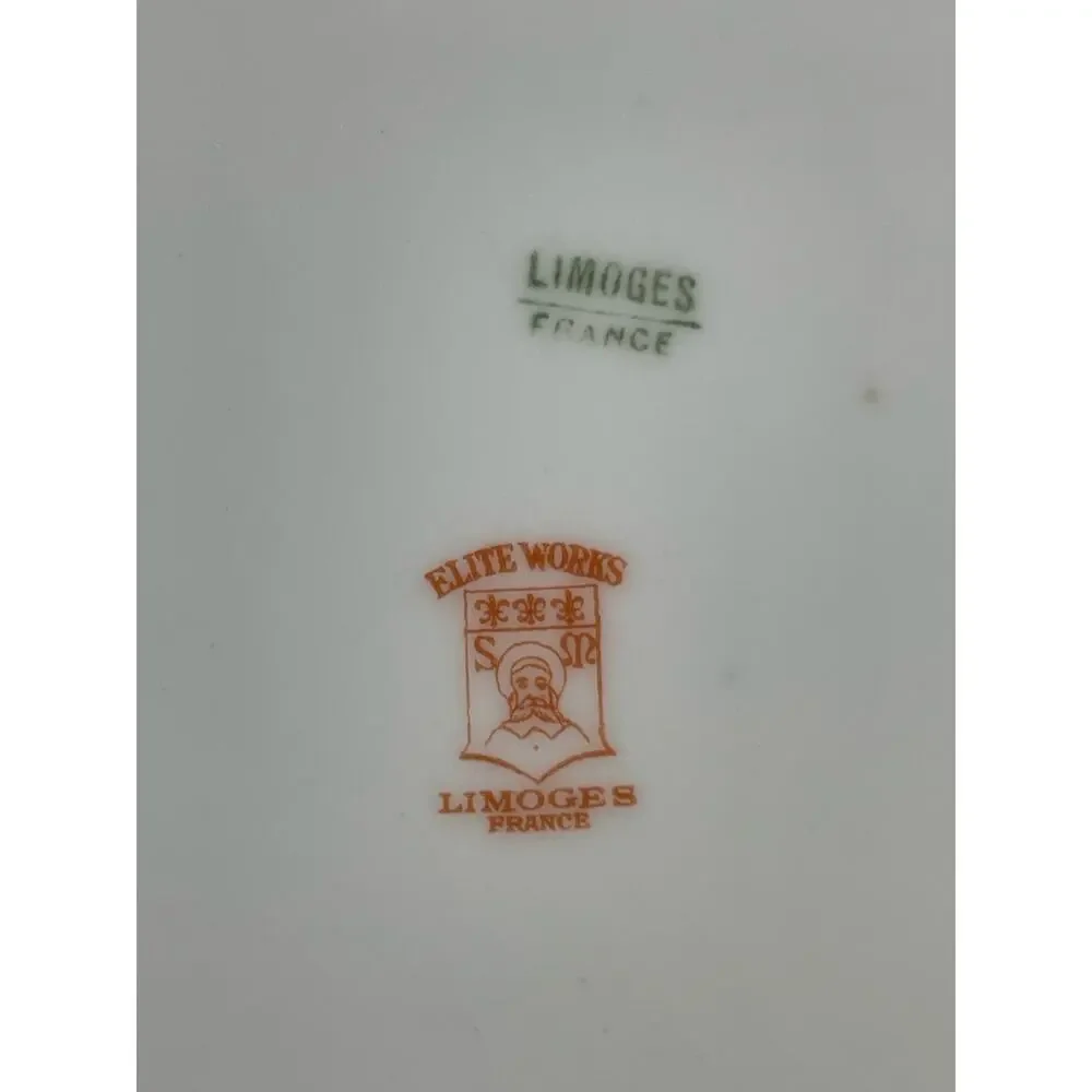 Limoges Elite Works Floral Salad Plate 7 1/2